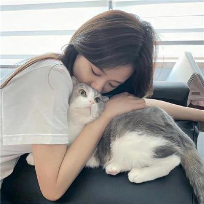 不确定的寓意：新三只小猪