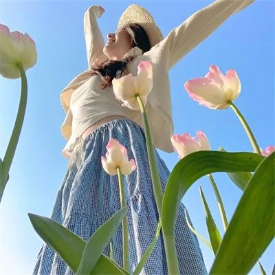 花颜劫